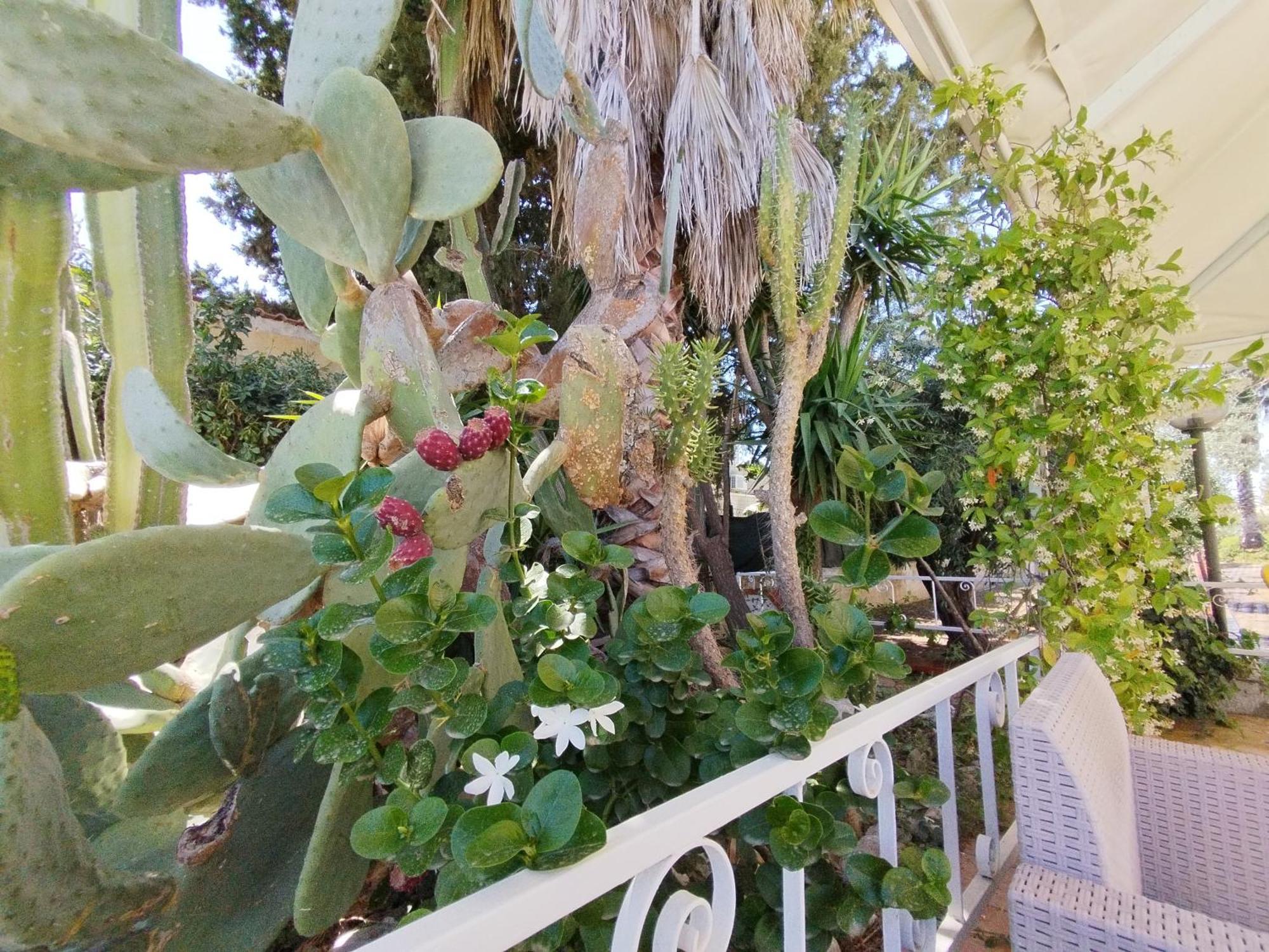Casa Di Lu' Villa Floridia Eksteriør billede